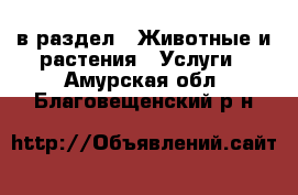  в раздел : Животные и растения » Услуги . Амурская обл.,Благовещенский р-н